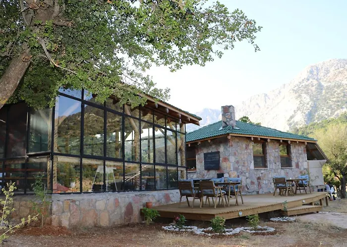 Babakamp Eco Ranch& Retreat Hotel