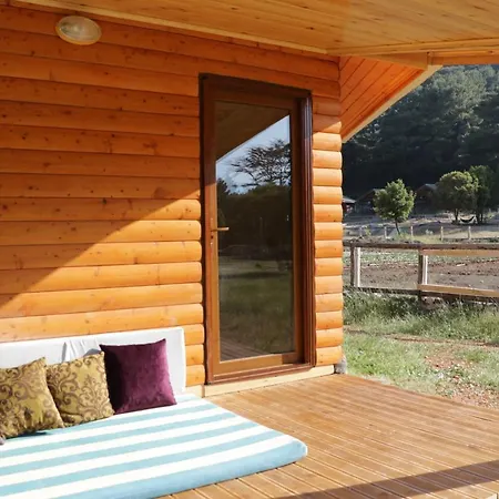 Babakamp Eco Ranch& Retreat