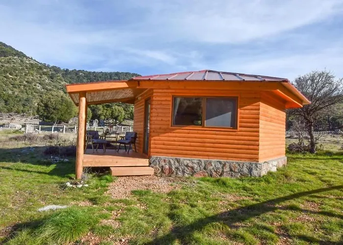 Babakamp Eco Ranch& Retreat ホテル