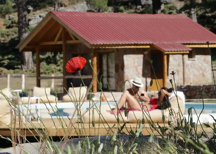 Babakamp Eco Ranch& Retreat