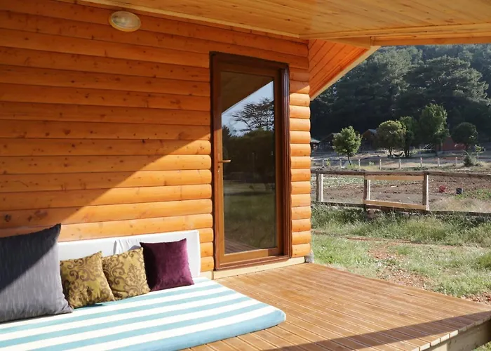 Babakamp Eco Ranch& Retreat