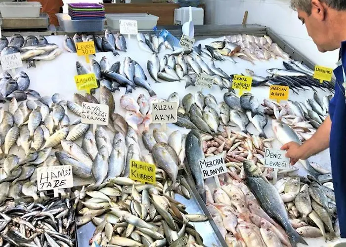 Babakamp Eco Ranch& Retreat Hotel 4*