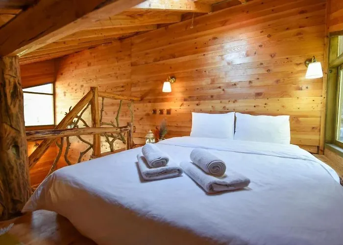 ホテル Babakamp Eco Ranch& Retreat フェティエ