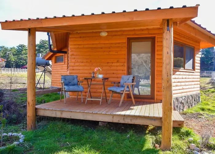 ホテル Babakamp Eco Ranch& Retreat 4*