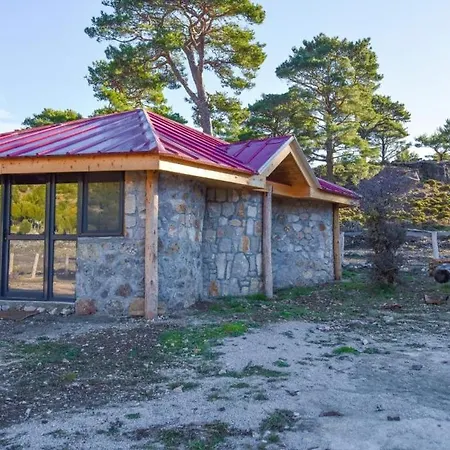 Babakamp Eco Ranch& Retreat