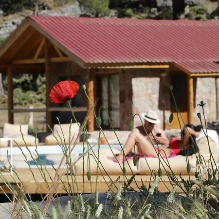 Babakamp Eco Ranch& Retreat