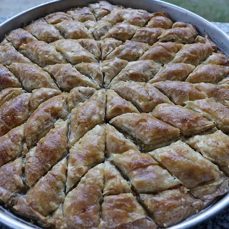 Babakamp Eco Ranch& Retreat 4* 페티예