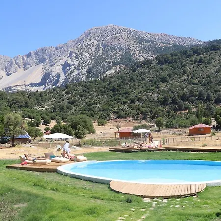 Babakamp Eco Ranch& Retreat 페티예