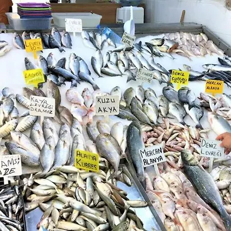 Babakamp Eco Ranch& Retreat 호텔 4*