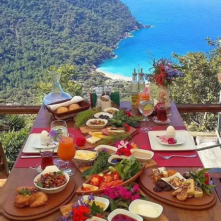 فندق Babakamp Eco Ranch& Retreat فتحية