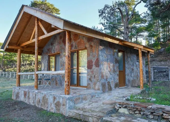 Hotel Babakamp Eco Ranch& Retreat