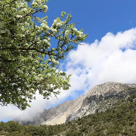 Hotel Babakamp Eco Ranch& Retreat Fethiye