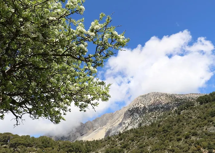 Ξενοδοχείο Babakamp Eco Ranch& Retreat Φετιγιέ