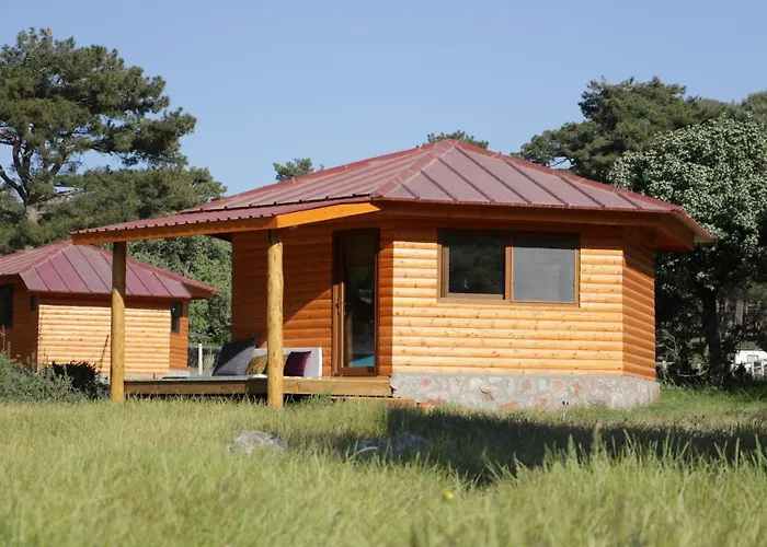 Babakamp Eco Ranch& Retreat Φετιγιέ